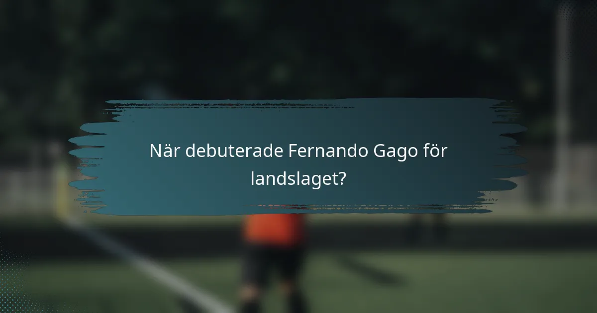 När debuterade Fernando Gago för landslaget?