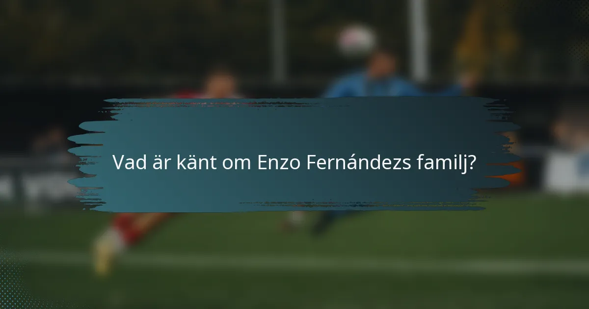 Vad är känt om Enzo Fernándezs familj?