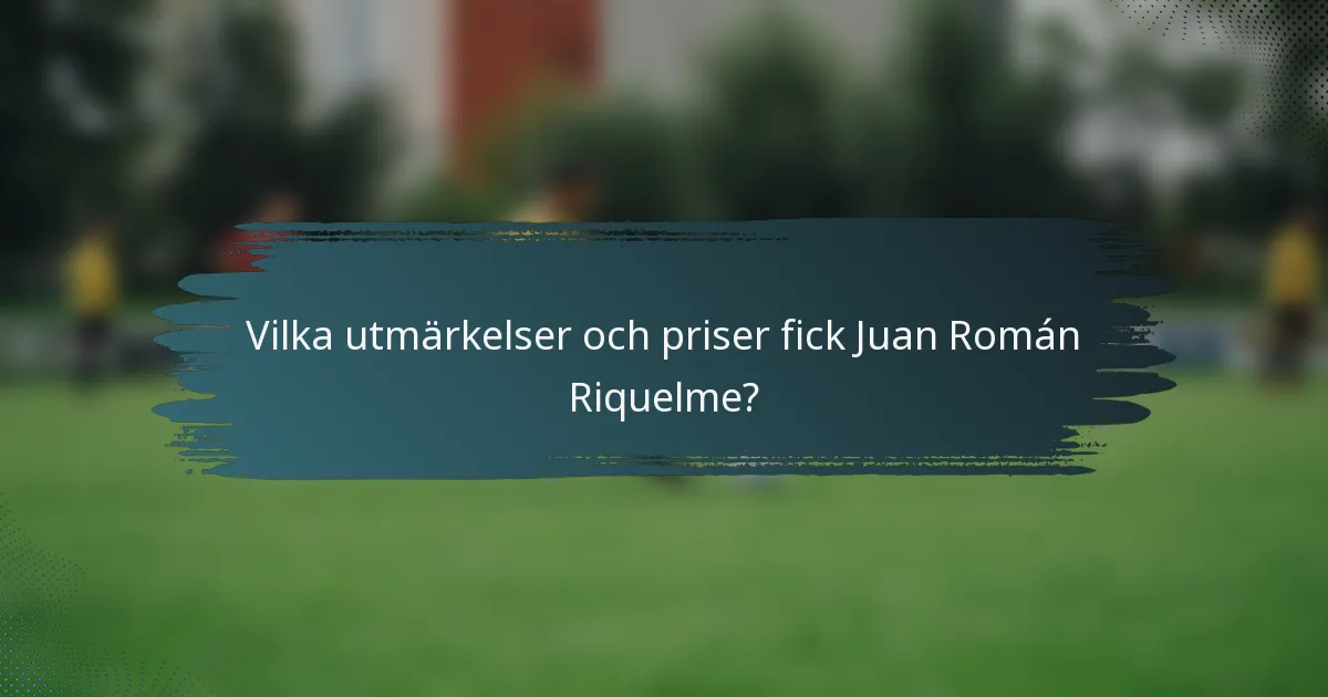 Vilka utmärkelser och priser fick Juan Román Riquelme?